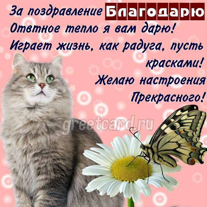 За поздравление ЕШЫЕШШБШШ дтвтное тепло я вам дарю Играет жизнь как радуга пусть красками 25 Желаю настроения Прекрасного Х__
