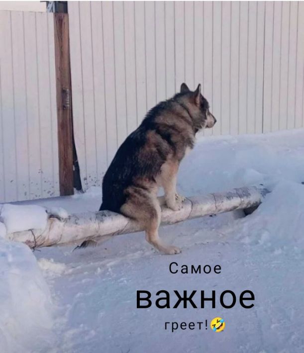 Самое важное гранта