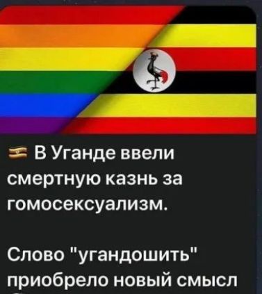 г В Уганде ввели смертную казнь за гомосексуализм Слово угандошить приобрело новый смысл