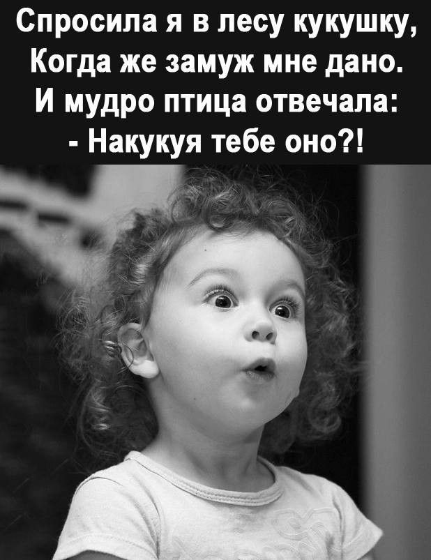 Приколы спрашивай