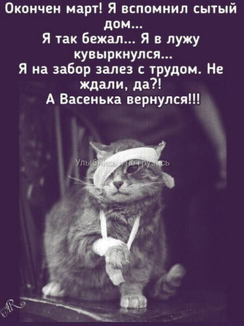 Окончен март Я вспомнил сытый дом Я так Бежал Я в лужу кувыркнулся Я на забор залез трудом Не ждали да А Васенька вернулся