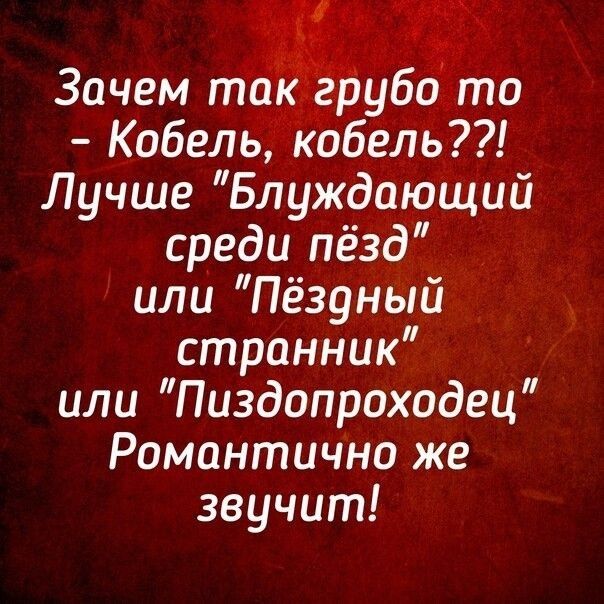 Зачем так _г рубо то Кобель кобель Лучше Блуждающий среди пёзд или Пёзуный странник или Пиздопроходец Романтично же звучит