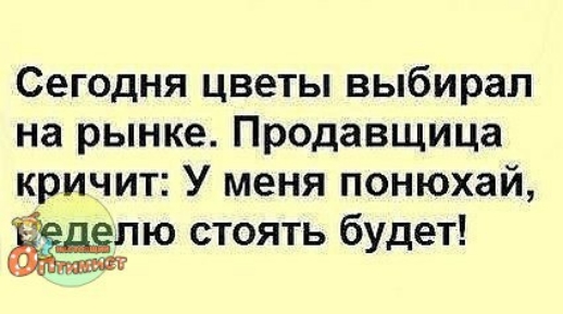 Сегодня цветы выбирал на рынке Продавщица кричит У меня понюхай ю стоять будет