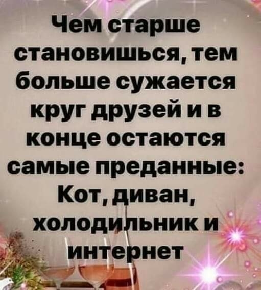 Чем старше становишься тем больше сужается круг друзей и в конце остаются самые преданные Кот иван хопсдіЪьники интернет