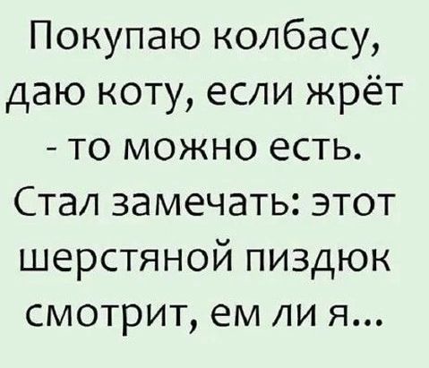 Покупаю колбасу даю коту если жрёт то можно есть Стал замечать этот шерстяной пиздюк смотрит ем ли я