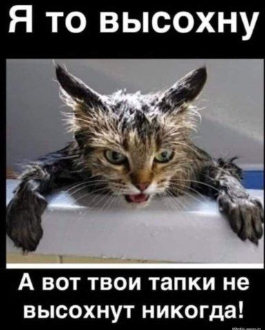 Я то высохну А вот твои тапки не высохнут никогда