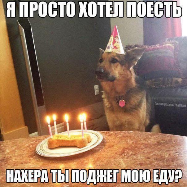 и 00 ХПТЁЛ МЕСТЬ ншшыппіинн ипюіедііэ _