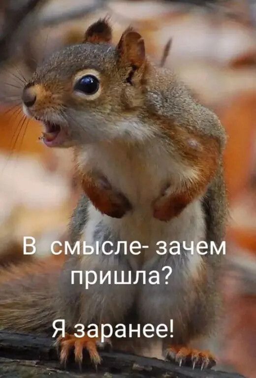Я заранее _ а