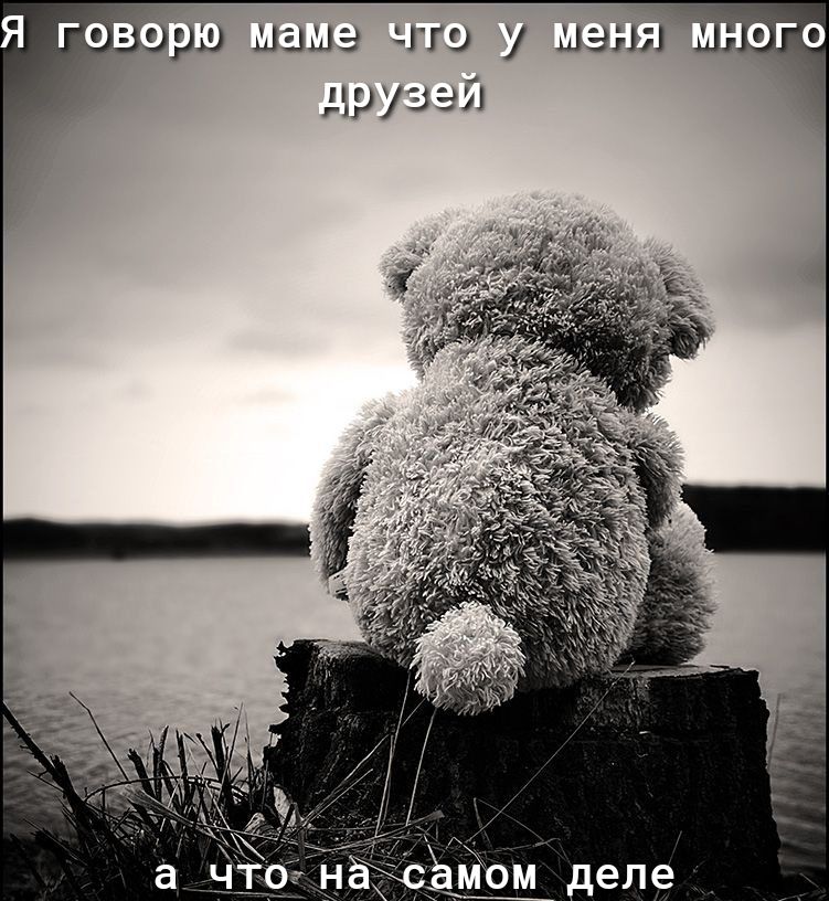 зрщ шаше чт 7 шамп друзей