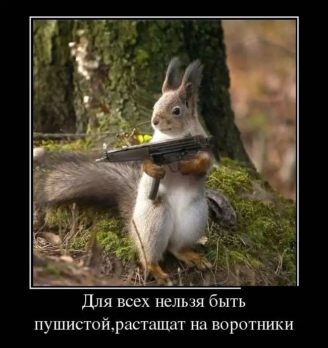 Для всех нельзя быть пушистойрастащат на воротъшки