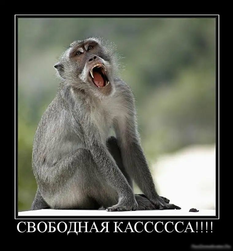 Ъ СВОБОДНАЯ КАСССССА