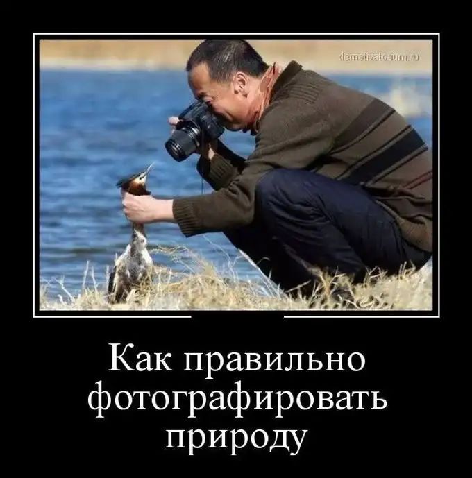 Как правильно фотографировать ПРИРОДУ