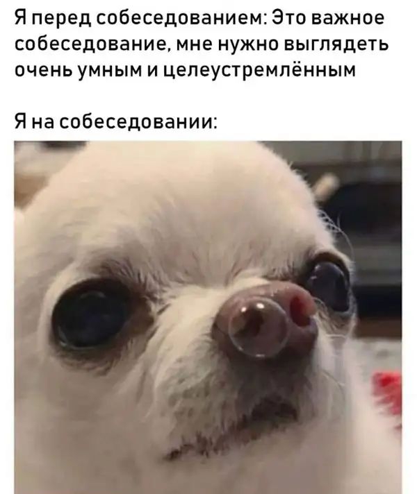 Я перед собеседованием Это важное собеседование мне нужно выглядеть очень умным и целеустремлённым Я на собеседовании
