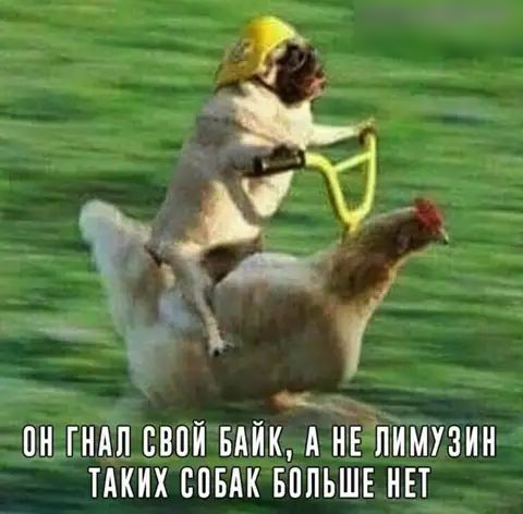 г Н ГНАП ПВПН БАНК А НЕ ПНМУЗНН ТАКИХ СПБАК БНПЪШЕ НЕТ