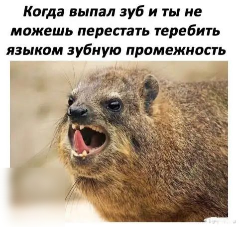 Когда выпал зуб и ты не можешь перестать теребить языком зубную промежность