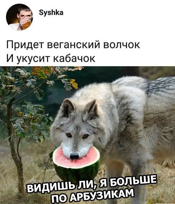 у51а Придет веганский волчок И укусит кабачок