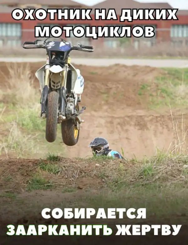 СОБИРАЕТСЯ ЗААРКАНИТЬ ЖЕРТВУ