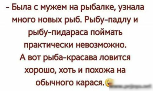 Была с мужем на рыбалке узнала много новых рыб Рыбупадпу и рыбу пидараса поймать практически невозможно А вот рыба красава ловится хорошо хоть и похожа на обычного карася_____