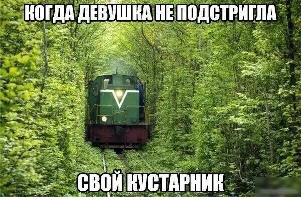 нигддёдіііииіндднЕёподетвишд