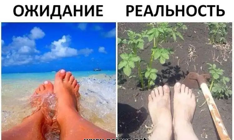 ОЖИДАНИЕ РЕАЛЬНОСТЬ