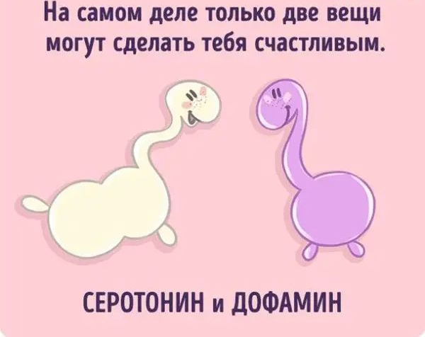На СЗМОМ деле ТОЛЬКО две ВЕЩИ МОГУТ сделать тебя СЧЗСТЛИВЫМ ы СЕРОТОНИН и дОФАМИН