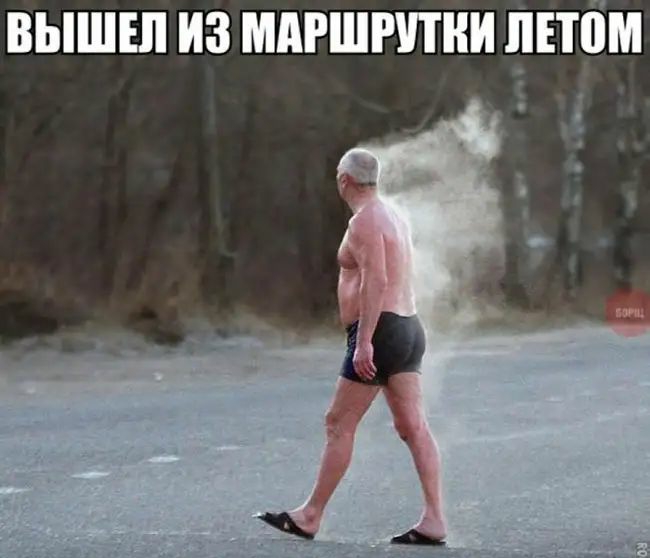 вышш из мдгшппни дном г