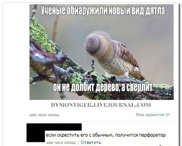 Нчвныв__пнашжипно йвиддятпа он В дПППИі 1080 8 ВВП _ ПЧ Ні 10 ПЧ А Пі э аыд м ирашпц если скрестить гг с обычным получится трфоратор два Онегин