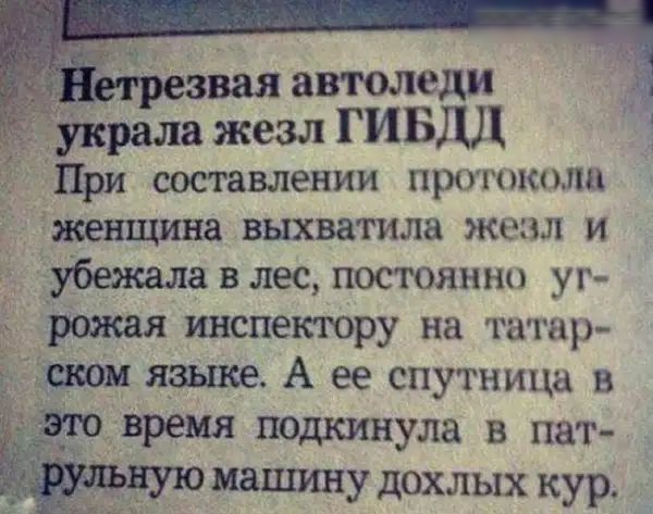 етрезвая автоледи Украла жезл ГИБДД При составлении протшшли женщина выхватила жезл и убежалавлес постоянно уг рожая инспектору на татар ском языке А ее спутница в эфовремя подкинула в пат 4ЁР машину дохлых кур