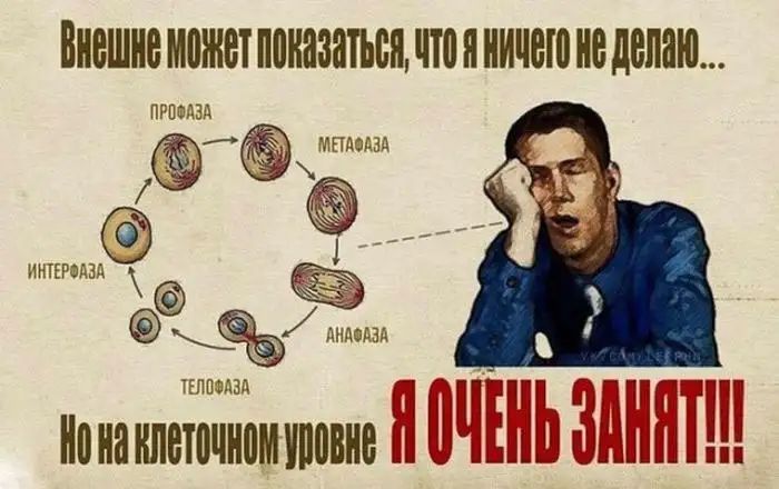 Внешне ППННЗЗТЪБЯ что Я НИЧЕМ не МЕНЮХМ Ципршддд ___ дпдсдад нонанлеЁЁіШЪмиповнв ЗМЕПЁЕЁЁЧЁ