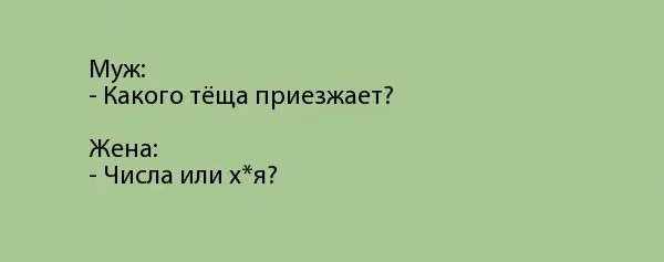 Муж Какого тёща приезжает Жена Чиспа или хя