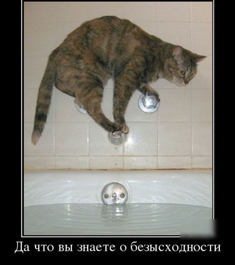Да ЧТО ВЫ знаете 0 бСЗЫСХОДНОСТН