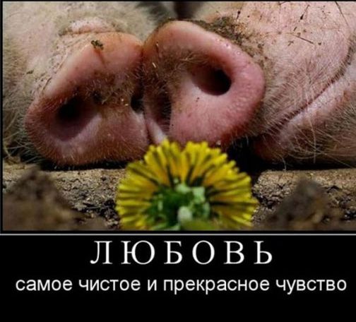 ЛЮБОВЬ самое чистое И прекрасное ЧУВСТВО