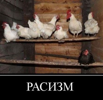 РАСИЗМ