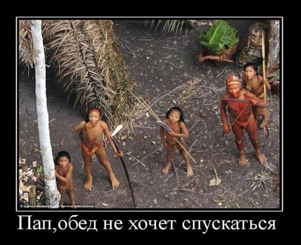 Пап обед не хочет спускаться