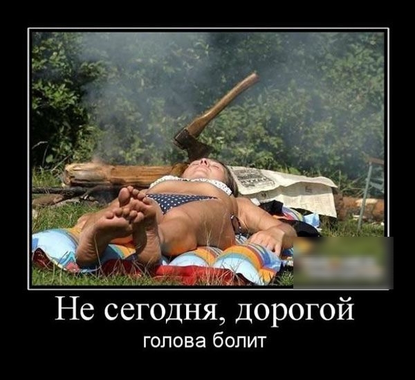 и Не сегодня дорогой голова болит