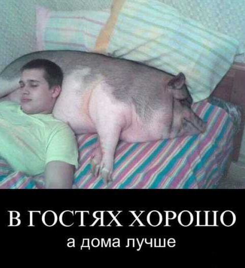 В ГОСТЯХ ХОРОШО ДОМЭ лучше
