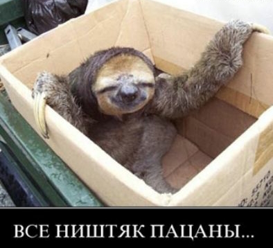 ВСЕ НИШТЯК ПАЦАНЫ
