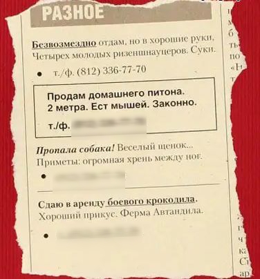 __ мм м ч и Прпдам домашнего питона 2 метра Ест мышей Закпиио н итп За и ц чт щц до кр щ 1