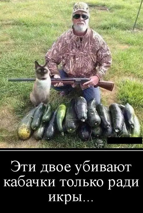 Эти двое убивают кабачки только ради икры