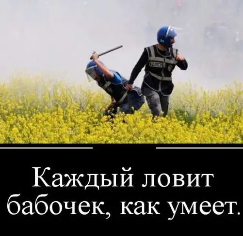 Каждый ловит бабочек как умеет