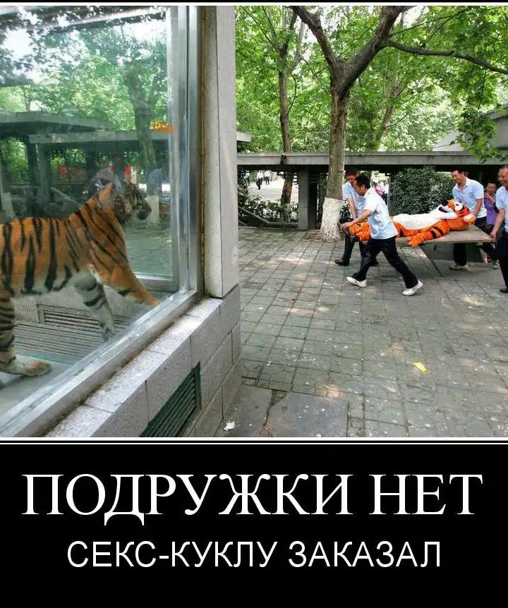ПОДРУЖКИ НЕТ СЕКС КУКПУ ЗАКАЗАП