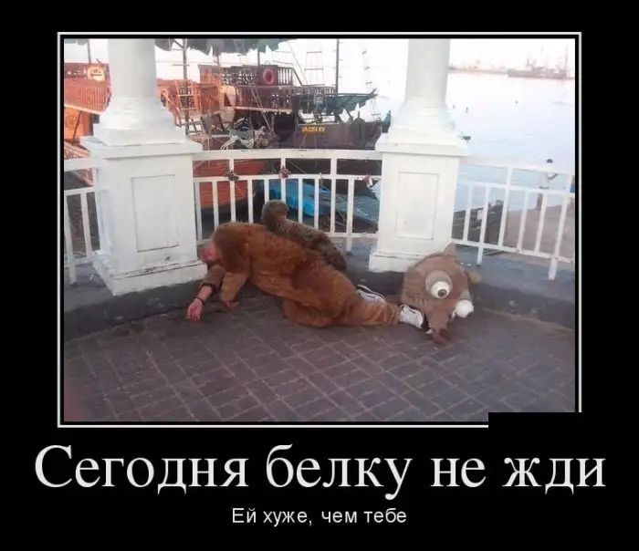 Сегодня белку не ЖДИ Ей хуже чем тебе
