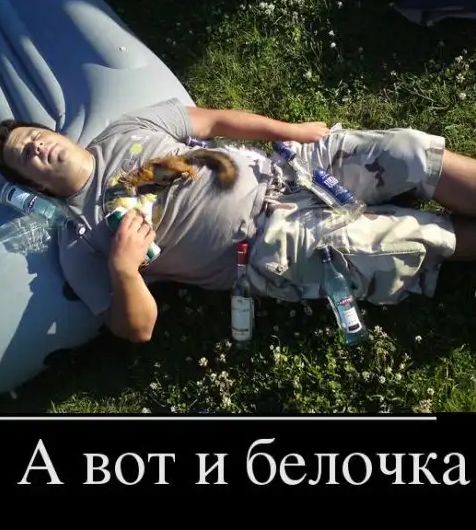 л А вот и белочка