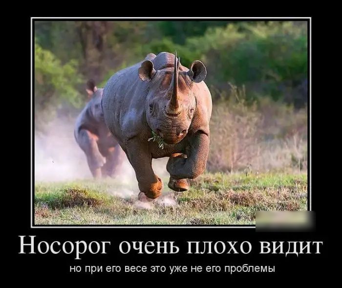 Носорог очень плохо видит НО ПРИ ЭГО ВЭСЭ ЭТО УЖЕ не ЕГО Проблемы