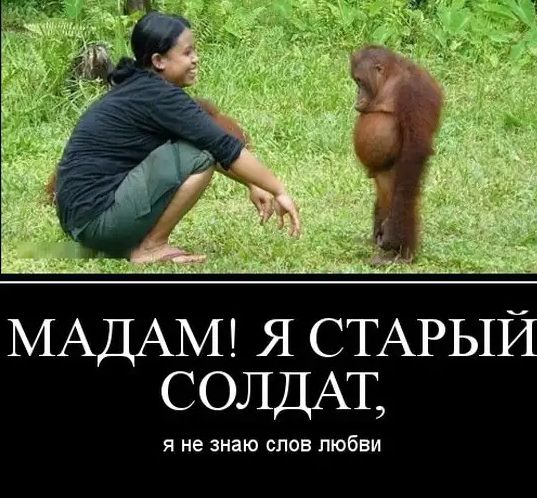 МАДАМ Я СТАРЫЙ СОЛДАТ Я не знаю СЛОВ любви