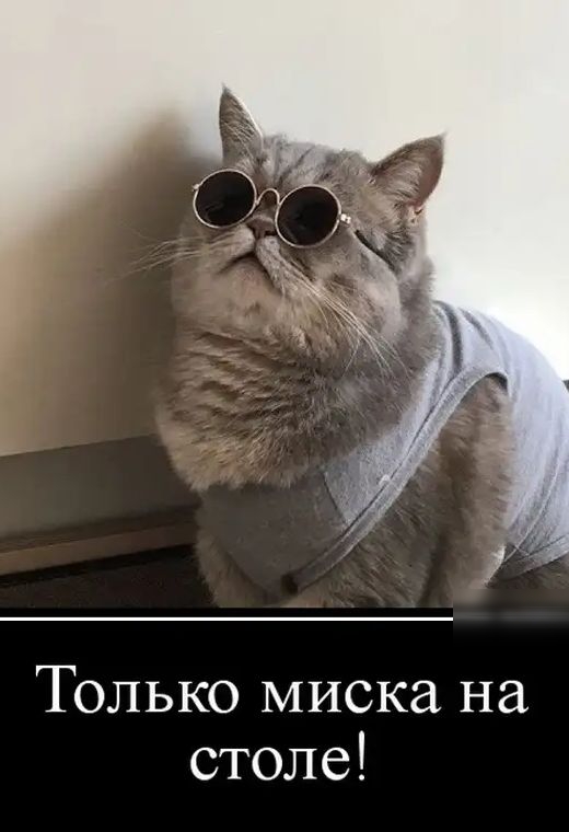 Только миска на столе