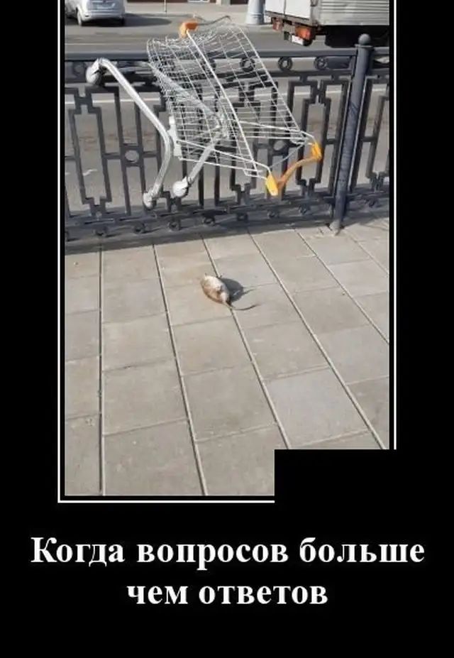 Когда вопросов больше чем ответов