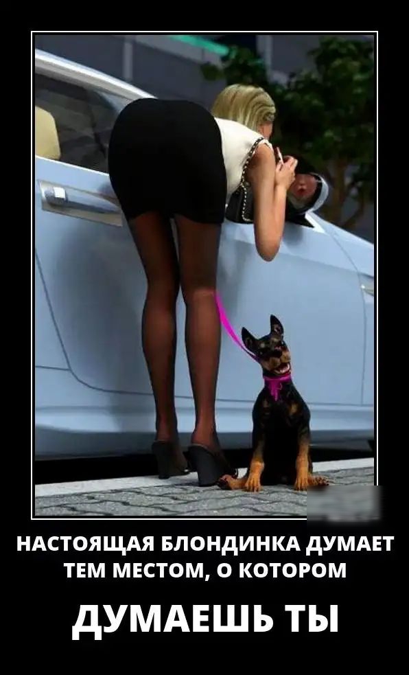 НАСТОЯЩАЯ БЛОНДИНКА дУМАЕТ ТЕМ МЕСТОМ О КОТОРОМ дУМАЕШЬ ТЫ