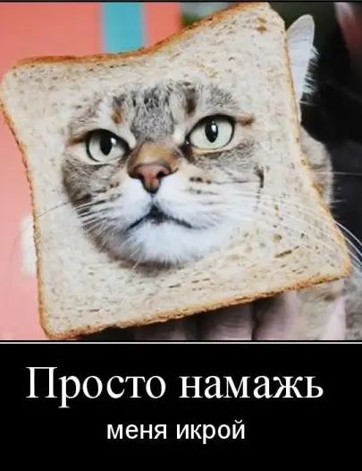 Просто намажь меня икрой