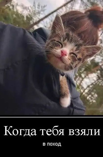 Когда тебя взяли в поход